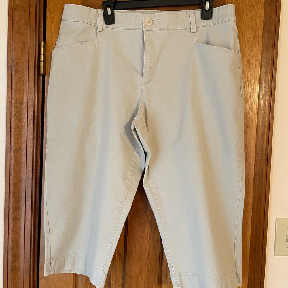Lee Tan Capris Tailored Flat Front